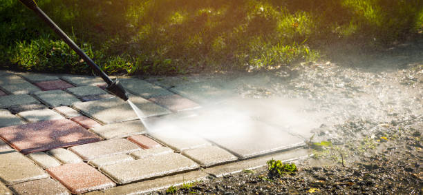 Best Animal Enclosure Cleaning  in Lake Hopatcong, NJ